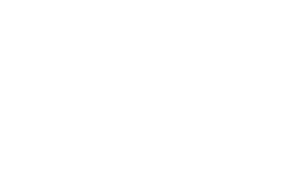 Logo POLAdvanced Projects